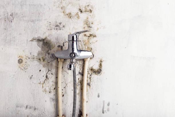 Trusted West Lake Hills, TX Mold Remediation Experts