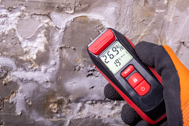 Best Emergency Mold Remediation in West Lake Hills, TX