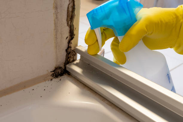 Best Industrial Mold Remediation in West Lake Hills, TX
